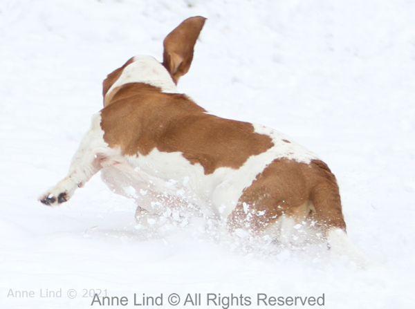 Naomi enjoying snow
