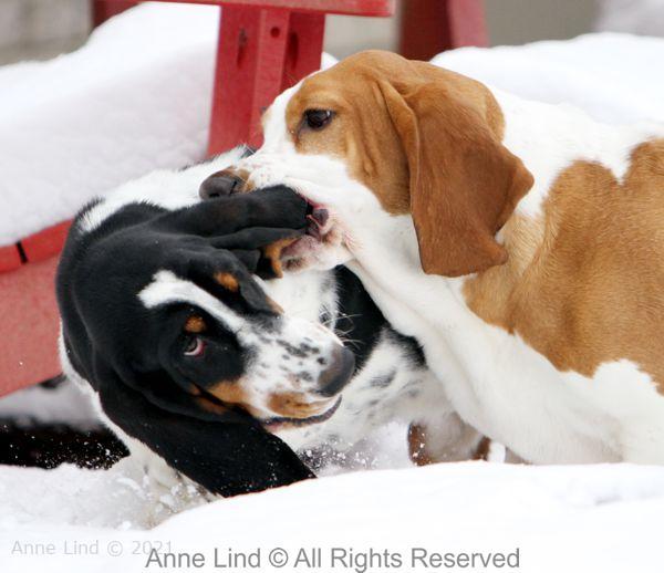 Snow fun