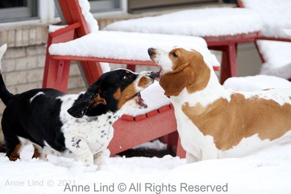 Snow fun