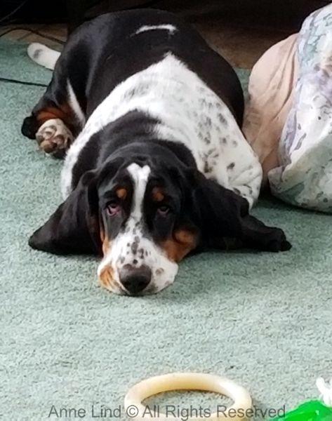 Nora