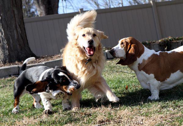 Tucker n gang