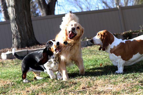 Tucker n gang