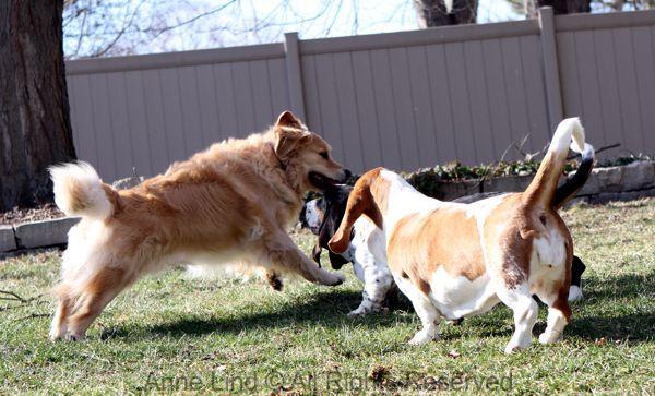 Playing with Tucker shots