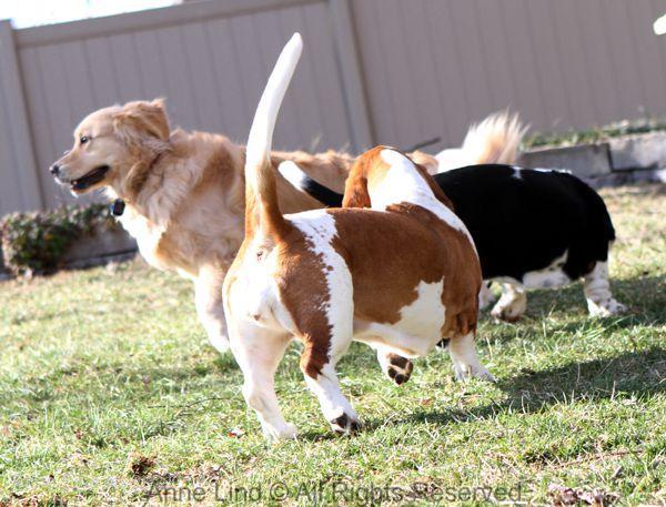 Playing with Tucker shots