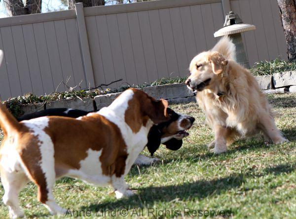 Playing with Tucker shots