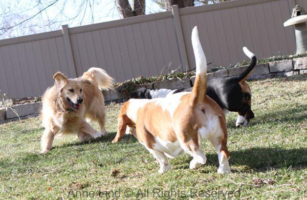 Playing with Tucker shots