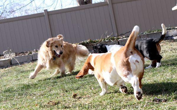 Playing with Tucker shots