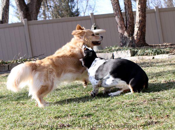 Playing with Tucker shots