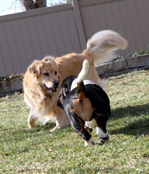 Playing with Tucker shots
