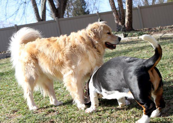 Playing with Tucker shots
