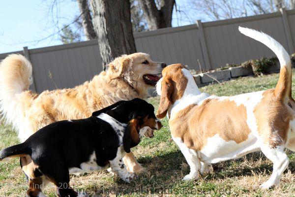 Playing with Tucker shots