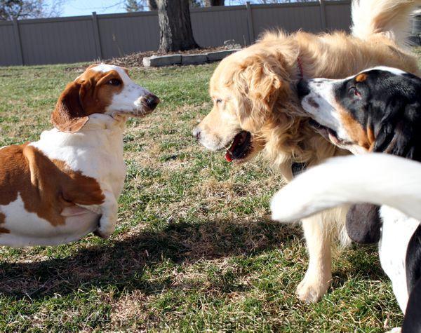 Playing with Tucker shots
