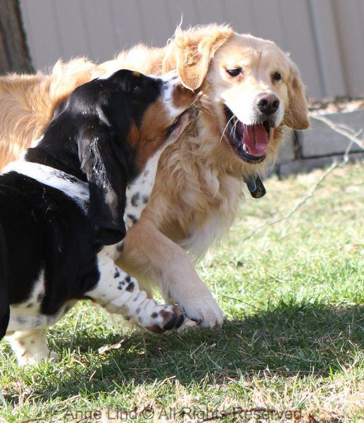 Playing with Tucker shots