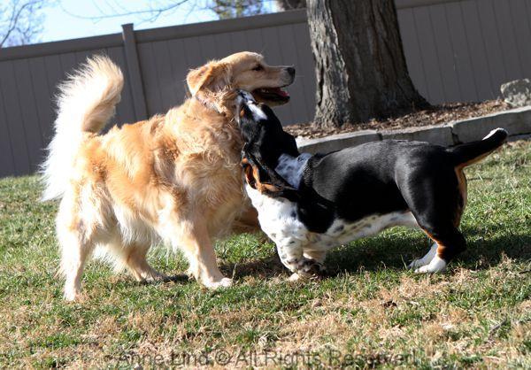 Playing with Tucker shots