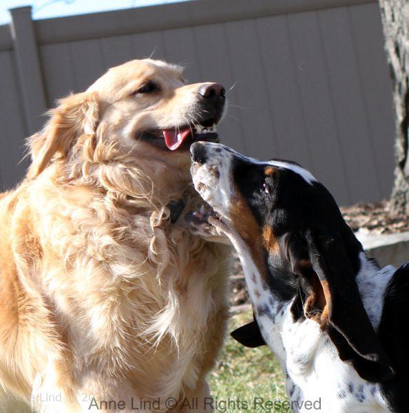 Playing with Tucker shots