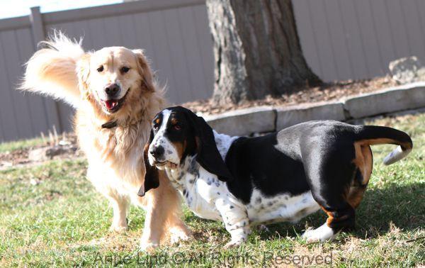 Playing with Tucker shots