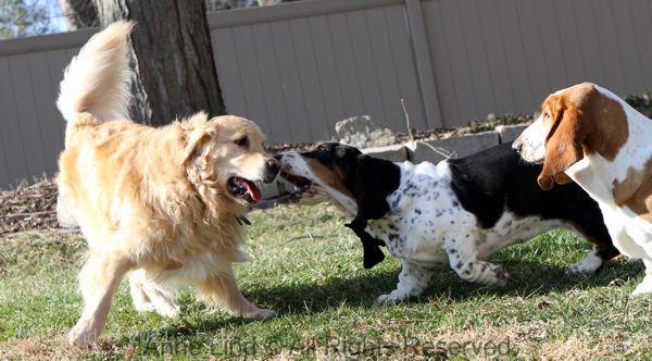 Playing with Tucker shots