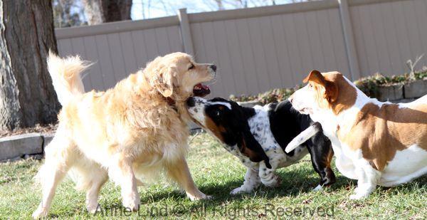 Playing with Tucker shots