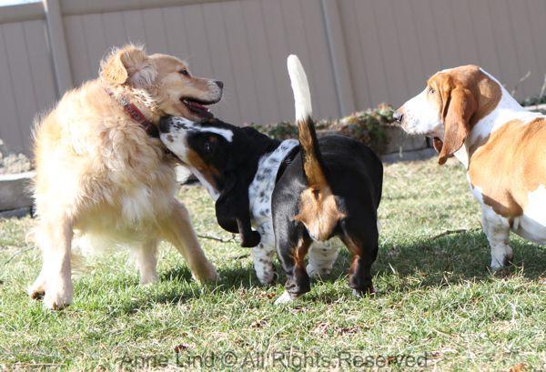 Playing with Tucker shots