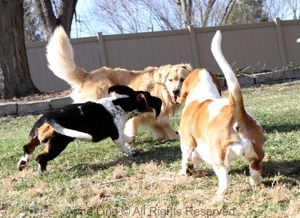 Playing with Tucker shots