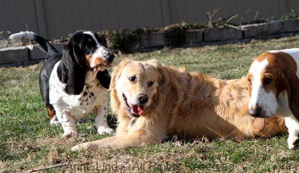 Playing with Tucker shots
