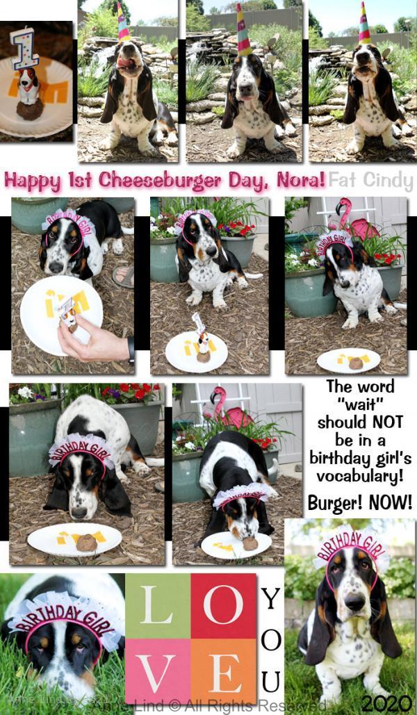 Nora's 1st brithday